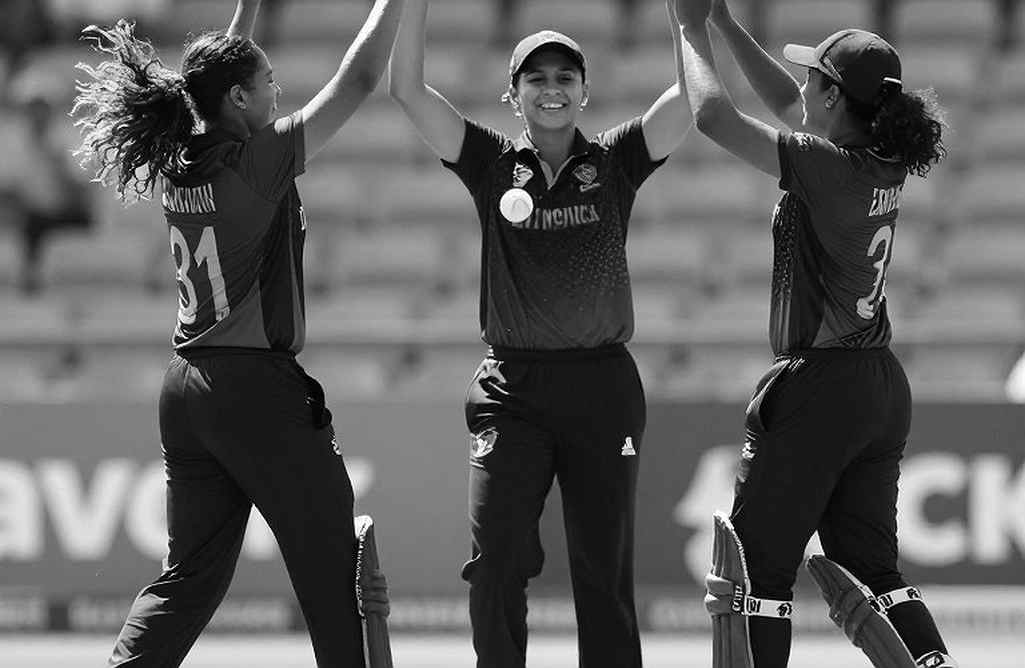 The Dot-Ball Tax: Who Really Selects Asian Cricket?