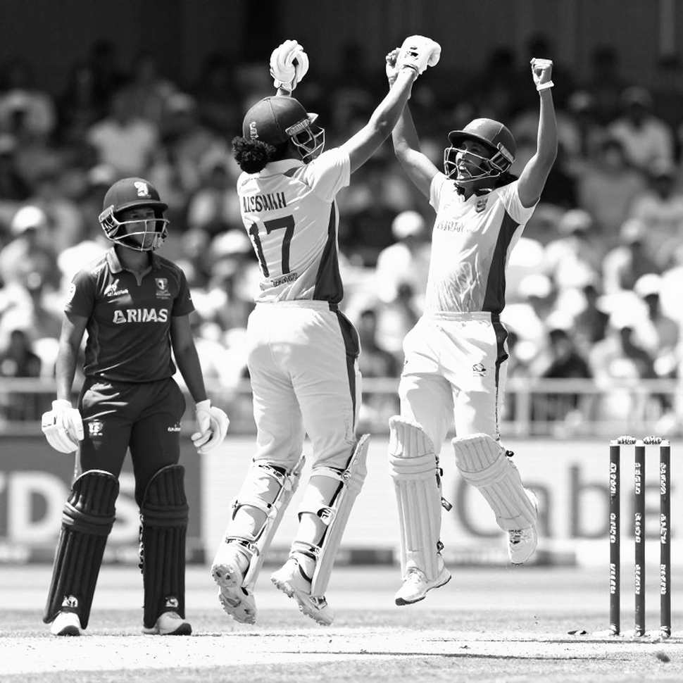 Eight Dimensions, Eight Blanks: When the Cricket Analysis Ledger Receives No Input